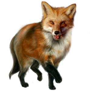 Fox PNG