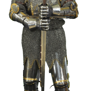 Medieval knight PNG