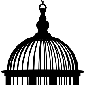 Cage bird PNG