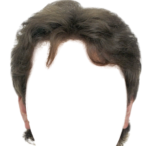 Hair wig PNG