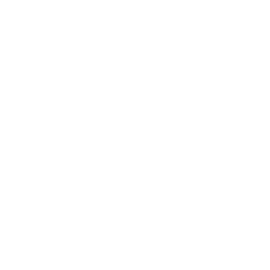 Disneyland logo PNG
