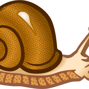Snail PNG