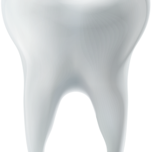 tooth png