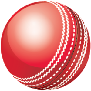 Cricket ball PNG
