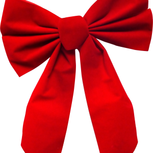 red ribbon bow PNG