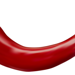 Chili pepper PNG
