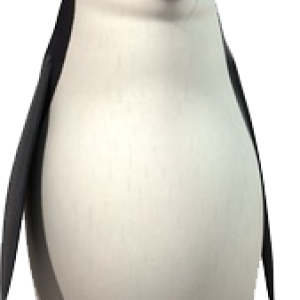 Madagascar penguins PNG