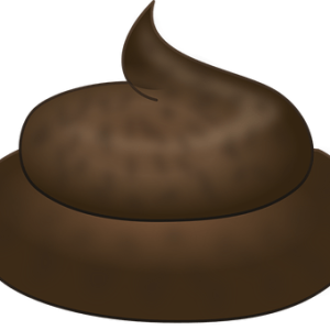 Poop PNG