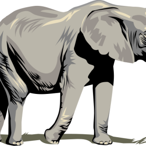 Elephant PNG
