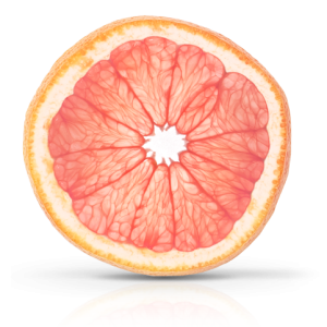 Grapefruit PNG