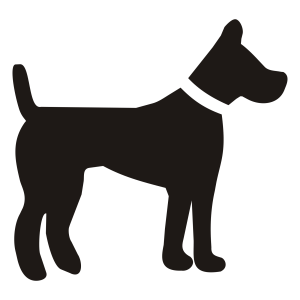 Dog PNG