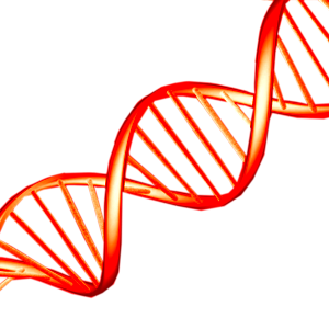DNA PNG