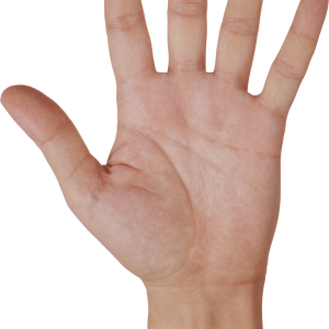 hand PNG