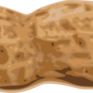 Peanut PNG
