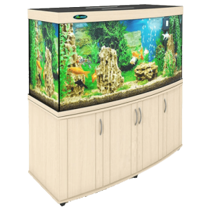 Aquarium PNG