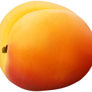 Apricot PNG