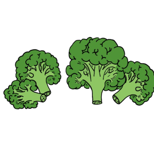 Broccoli PNG