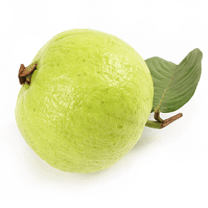 Guava PNG