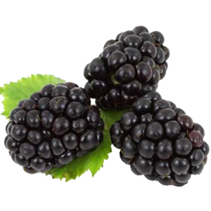 Blackberry PNG