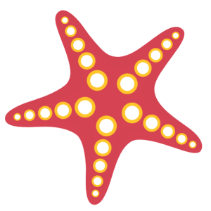 Starfish PNG