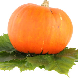 Pumpkin PNG