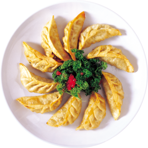 Dumplings PNG
