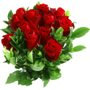 Rose PNG