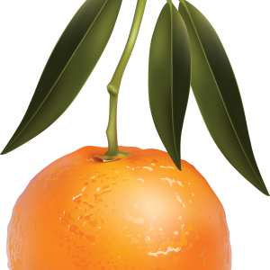 Mandarin PNG