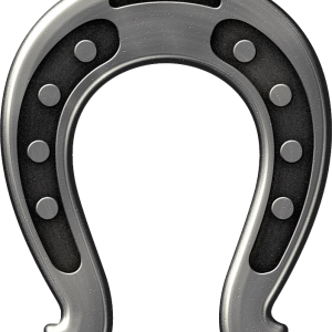 Horseshoe PNG