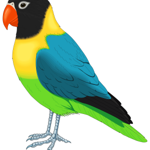 Bird PNG