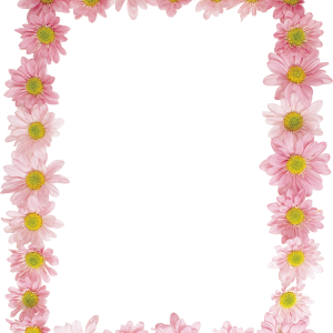 Floral frame PNG