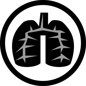 Lungs PNG