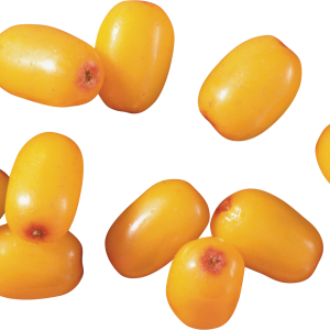 Sea buckthorn PNG