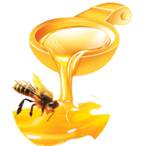Honey PNG