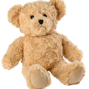 Teddy bear PNG