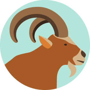 Capricorn PNG