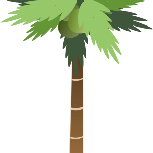Palm tree PNG