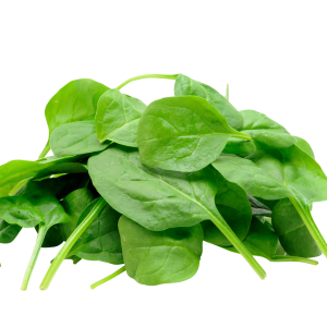 Spinach PNG
