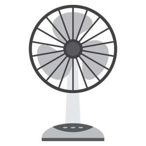 fan PNG
