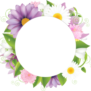 Floral frame PNG