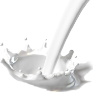 Milk splashes PNG
