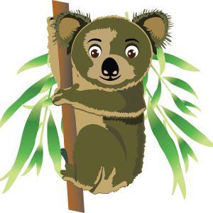 Koala PNG