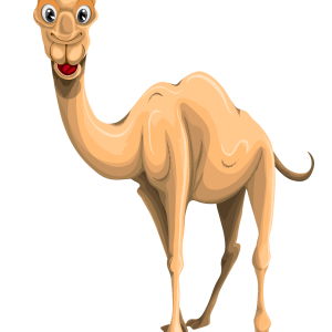 Camel PNG