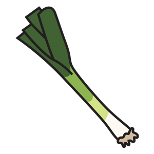 Leek PNG