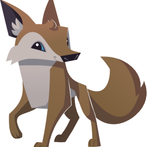 Jackal, coyote PNG