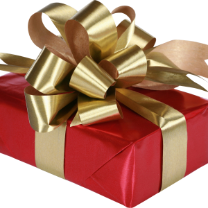 Gift box PNG