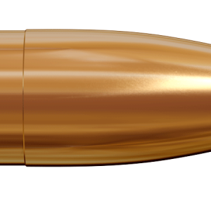 Bullets PNG image