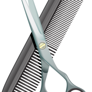 Comb PNG
