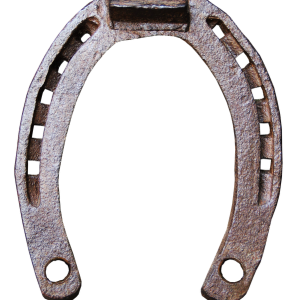 Horseshoe PNG