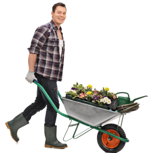 man with wheelbarrow PNG